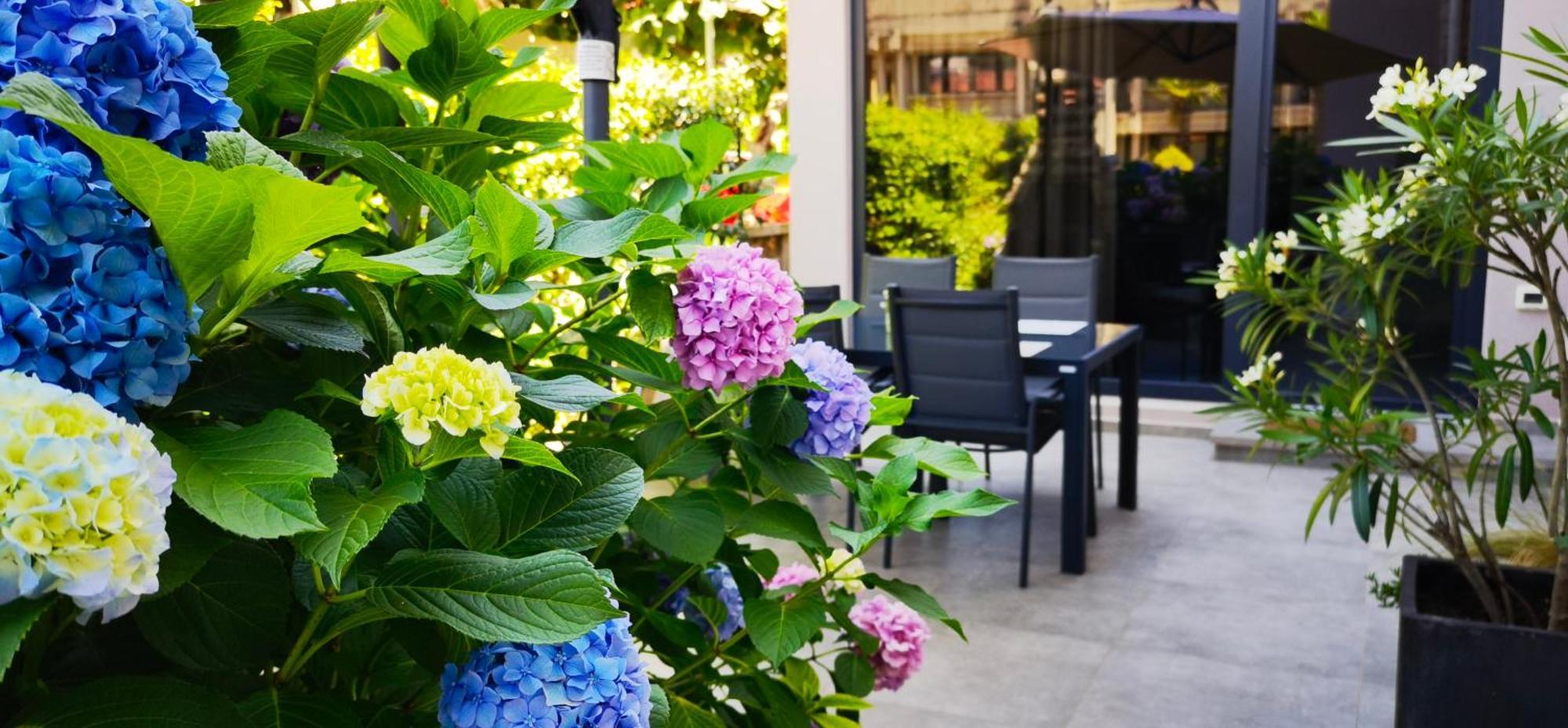 Stay In The Very Heart Of Porec - 50M To The Beach Exterior foto